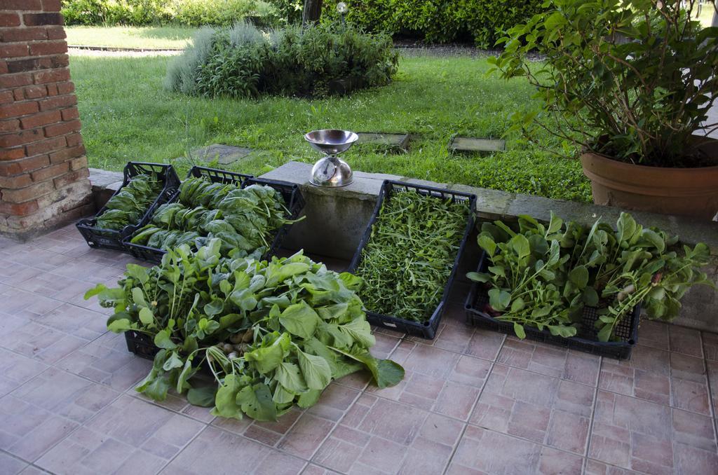 Cascina Foresto Bed and Breakfast Cossato Εξωτερικό φωτογραφία